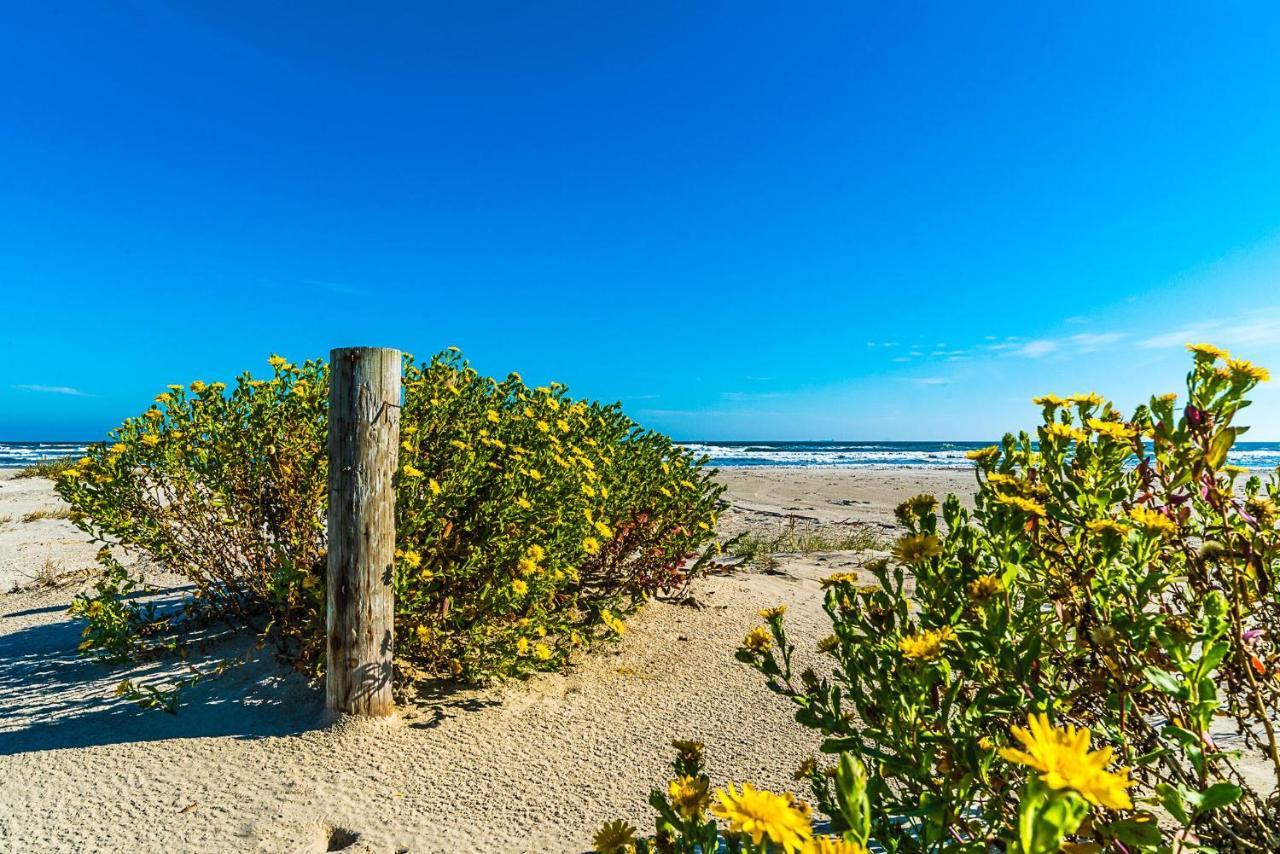 Blue Skies Ahead Quick Walk Into Town And Beach Galveston Luaran gambar